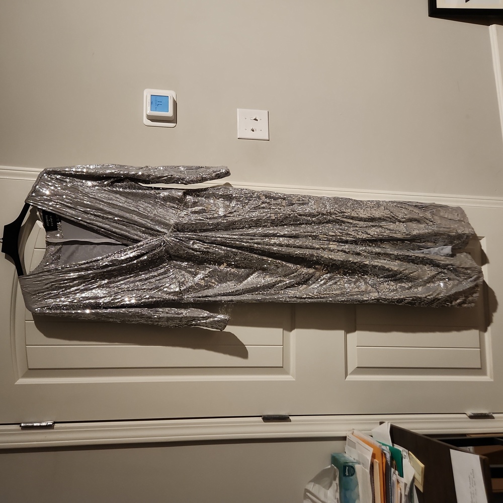 Eloquii Silver Sequin Dress